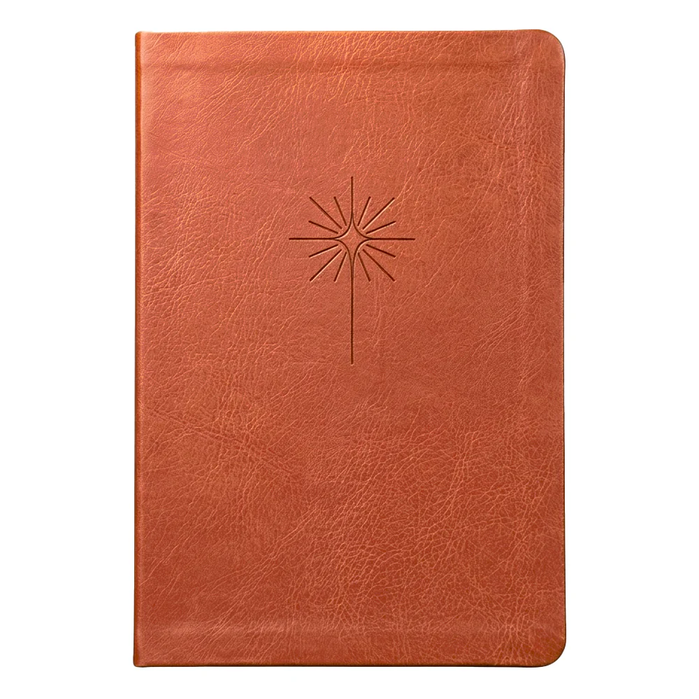 BÍBLIA SLIM FILAMENT - CAPA COURO