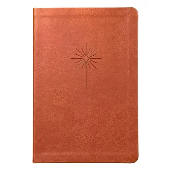 BibliaSlimFilamentNVTLetraGrandeCapaCouroSinteticoMarrom1